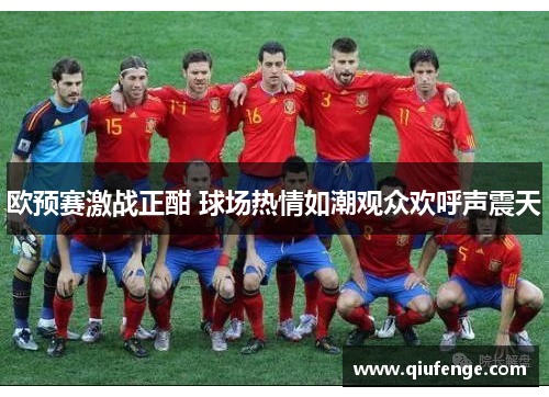 欧预赛激战正酣 球场热情如潮观众欢呼声震天