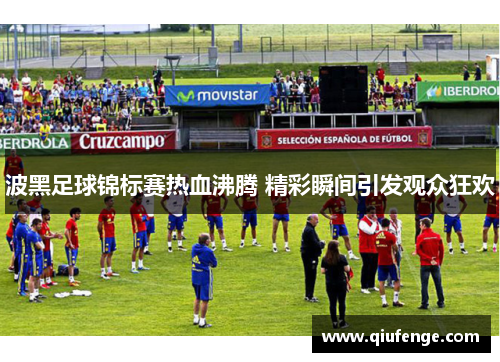 波黑足球锦标赛热血沸腾 精彩瞬间引发观众狂欢