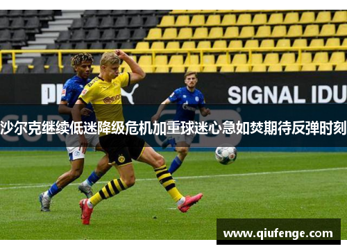 沙尔克继续低迷降级危机加重球迷心急如焚期待反弹时刻