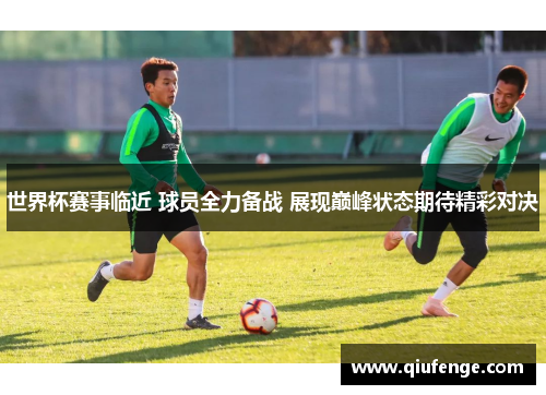 世界杯赛事临近 球员全力备战 展现巅峰状态期待精彩对决