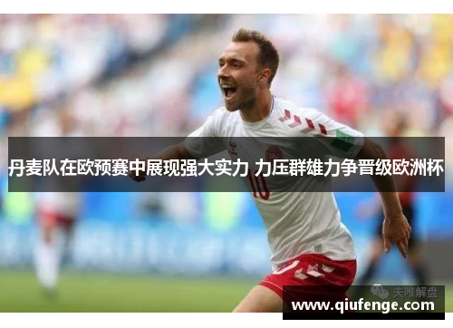 丹麦队在欧预赛中展现强大实力 力压群雄力争晋级欧洲杯