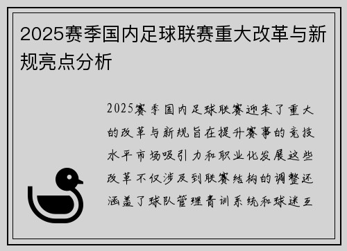 2025赛季国内足球联赛重大改革与新规亮点分析